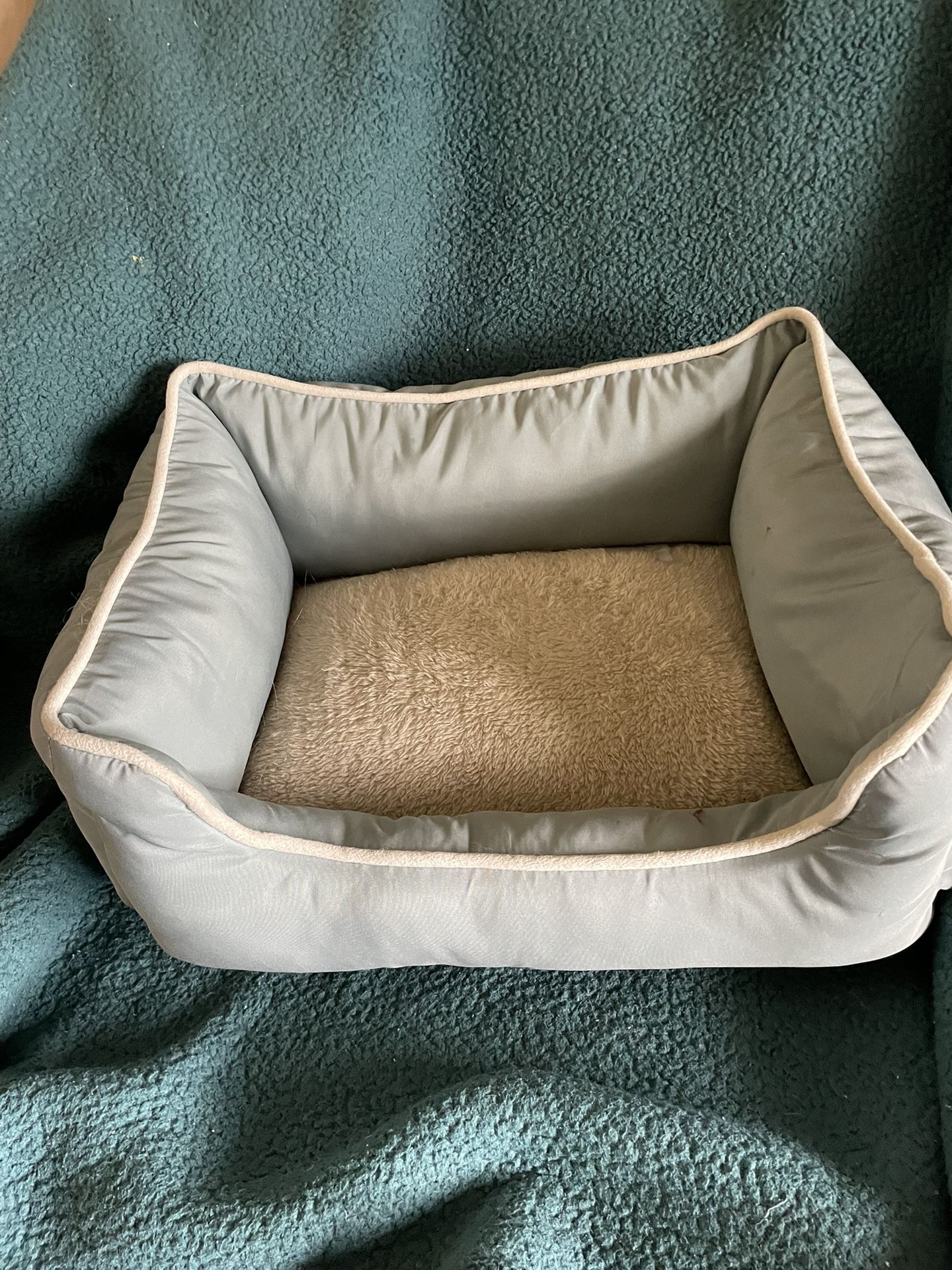 Pet Bed