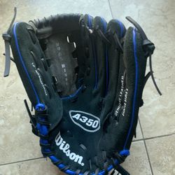 Wilson Baseball Glove