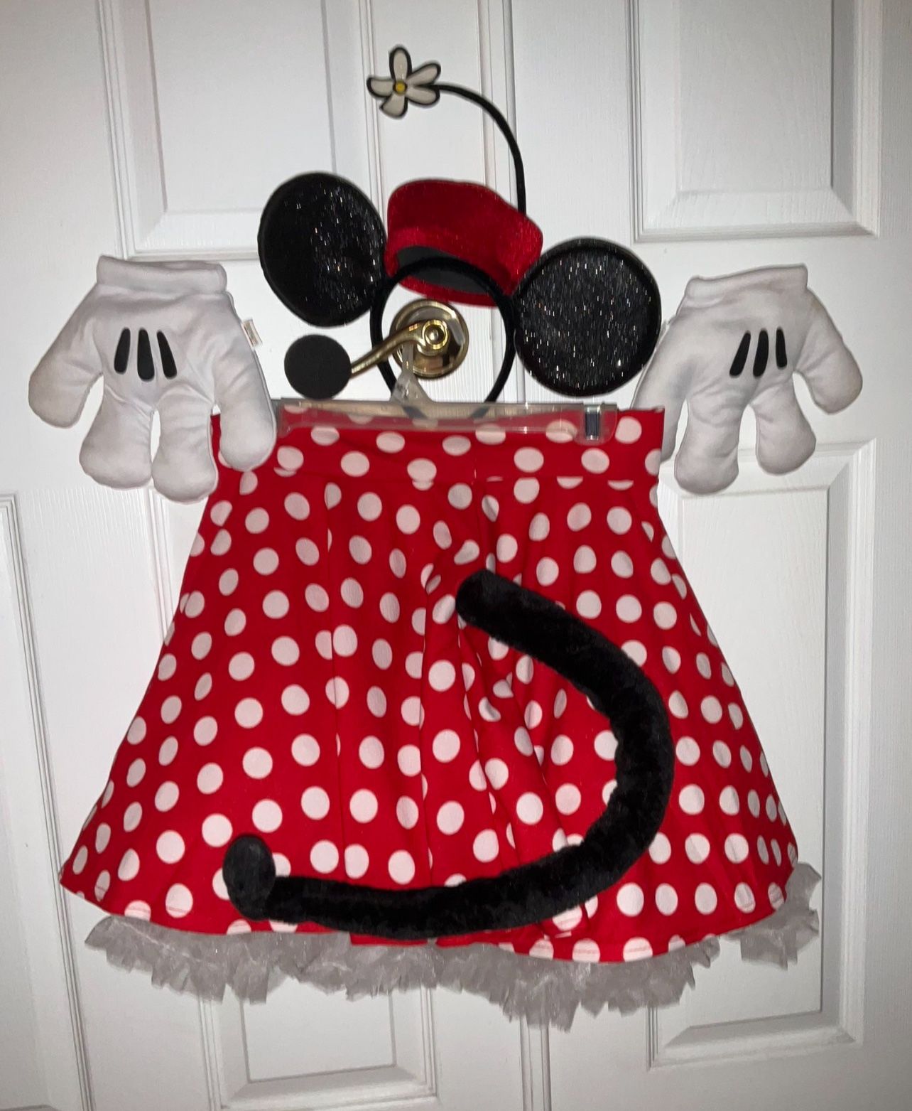 Minnie Costume