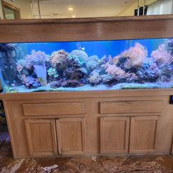 125 gallon saltwater aquarium