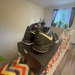 Nike Men Flytrap III