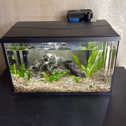 10 Gallon Fish Tank