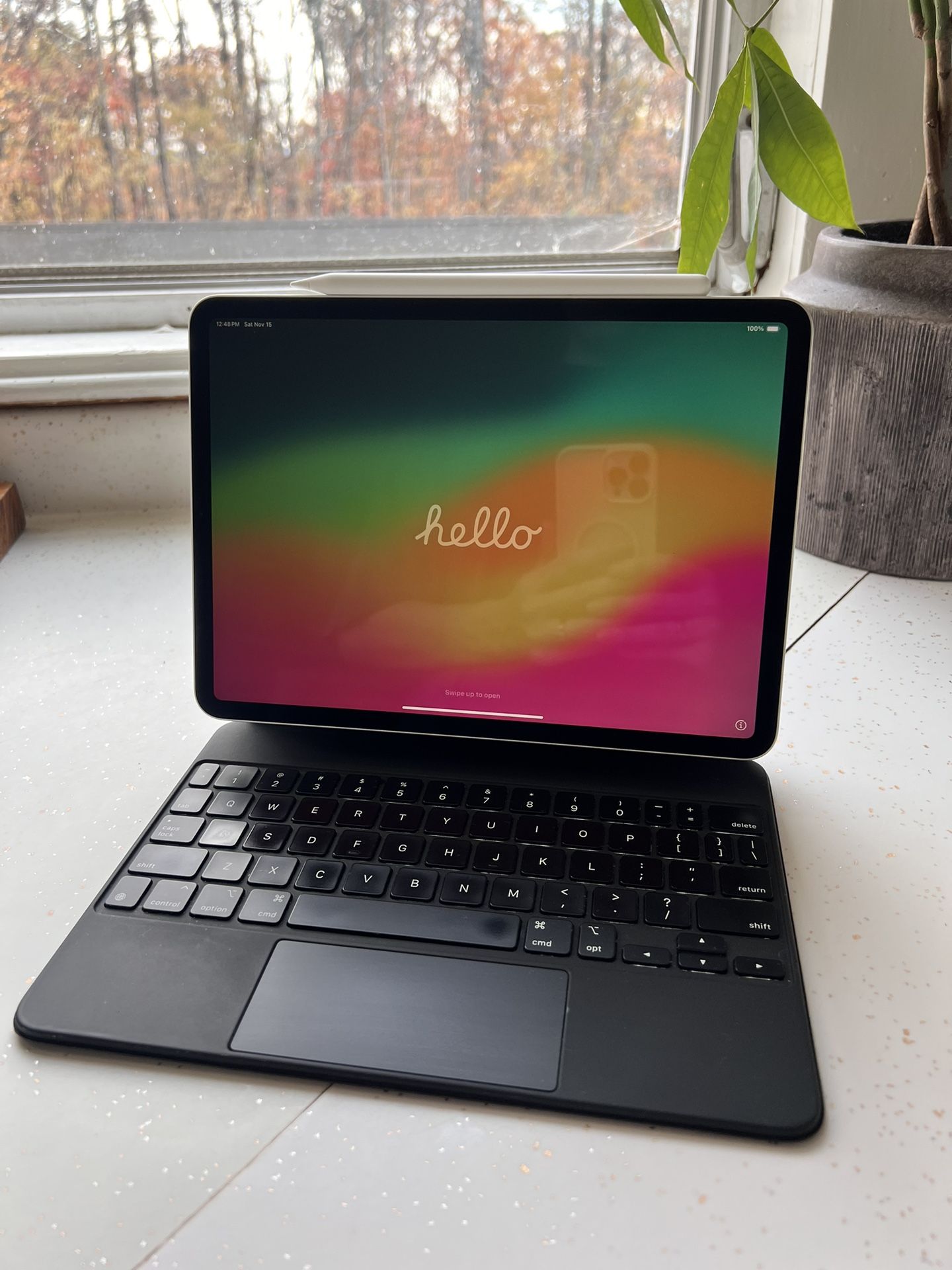 iPad Pro (11-inch) 2nd Generation