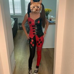 Harley Quinn Halloween Costume