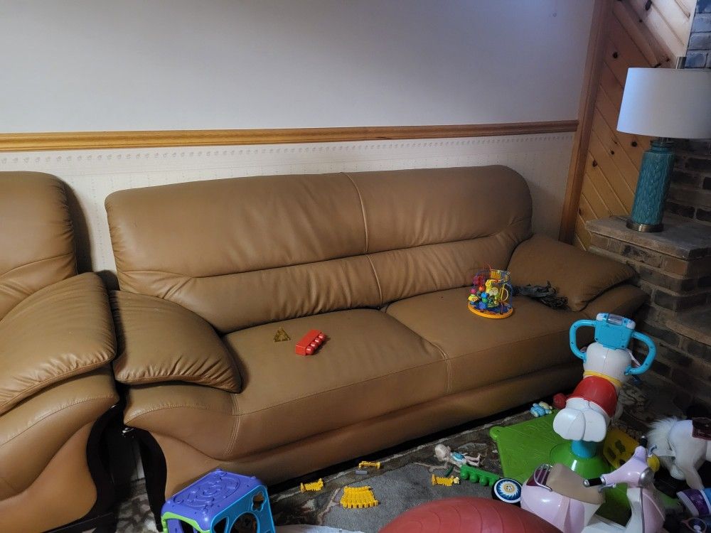 Brown Leather Couches