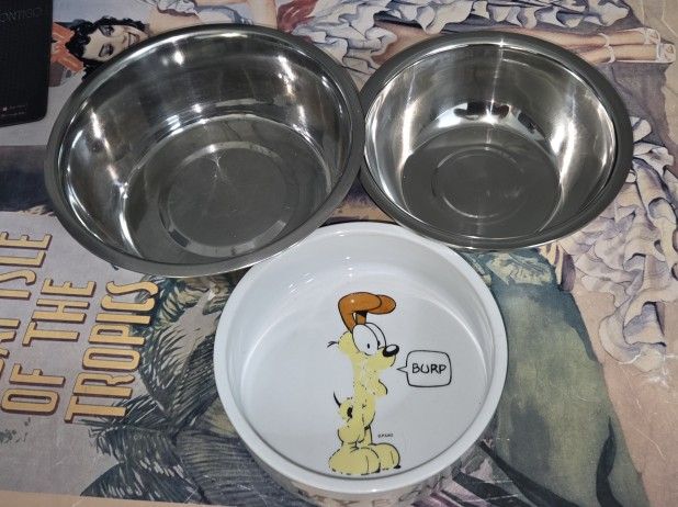 Dog Bowl