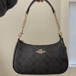 Brown/black Coach Bag