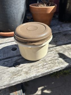 Rubbermaid Servin Saver  3 Cup Tan Container Bowl with Brown Lid Pre-owned