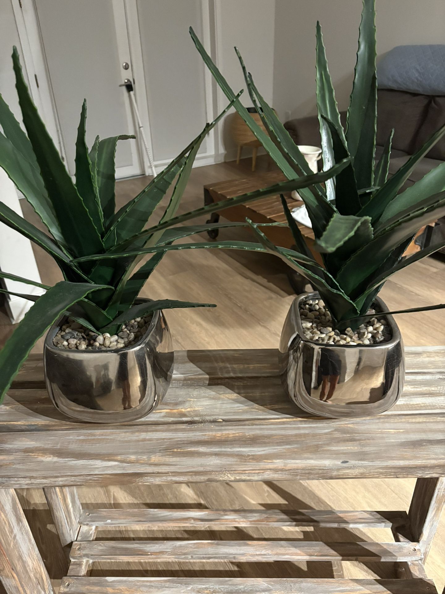Artificial Plants