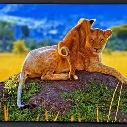 LG G3 OLED 4K - 55” 