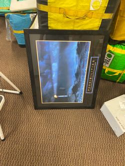 Beautiful framed art