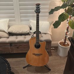 Ovation Guitar 