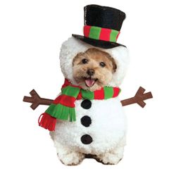Christmas Dog Costumes