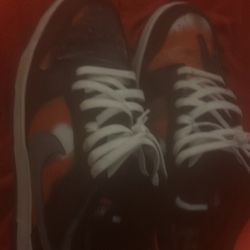 size 12 dunks rare