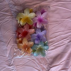Hair Clips 