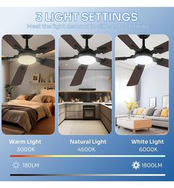 New ceiling fan