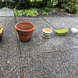 Gardening / Plant Pots