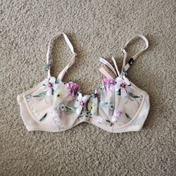 Victoria's Secret Floral Lace Embroidered Bra - Cream and Blush Pink 32 D  NWT