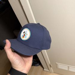 Disney World Hat