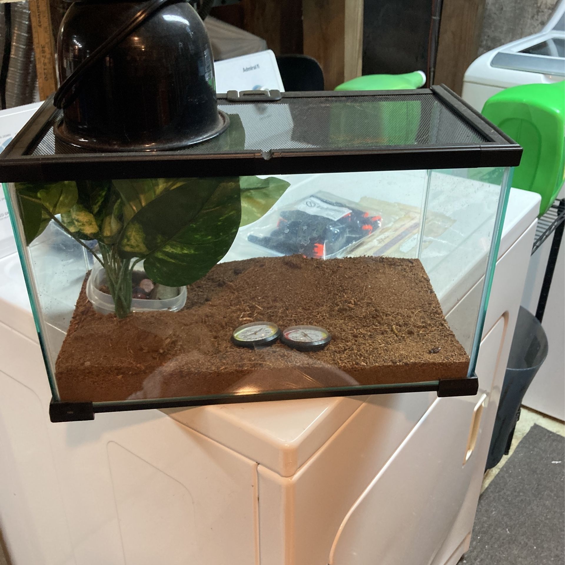 Reptile Tank