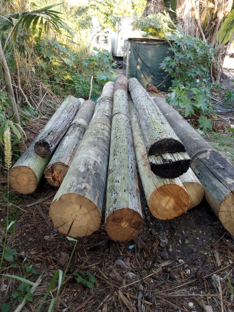Utility Poles