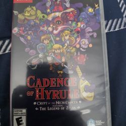 Cadence Of Hyrule