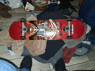 Birdhouse Tony hawk