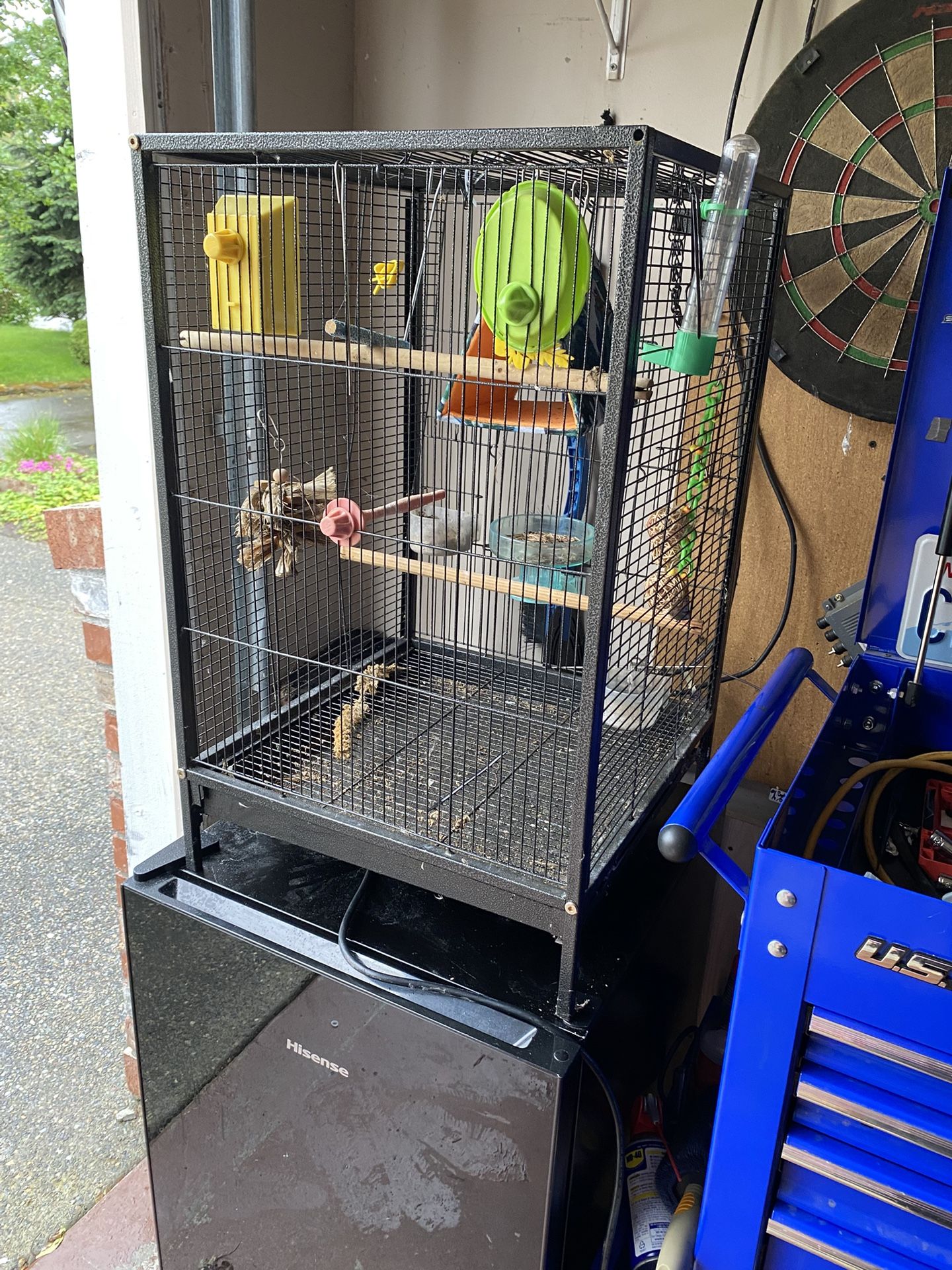 Bird Cage
