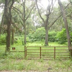 Selling Lot with 0.29A in Ocala