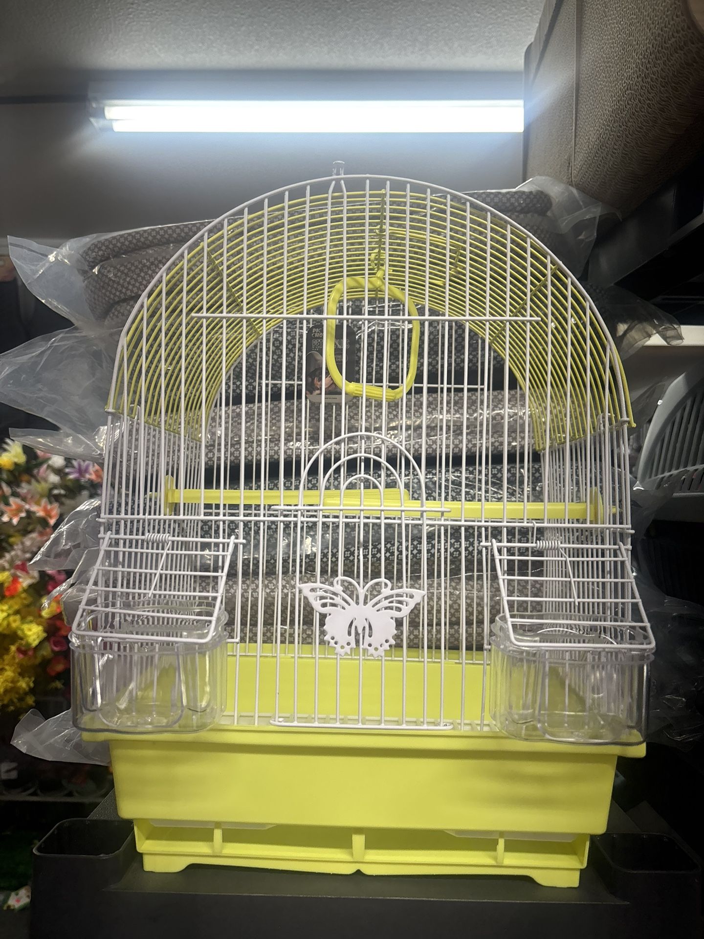 Bird Cage