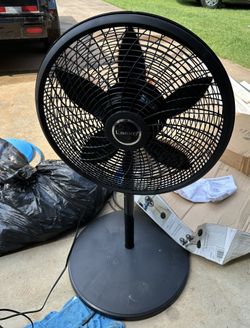 Fan 