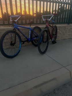 Throne 29er