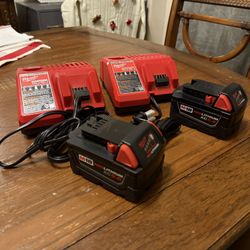 Milwaukee M18 5.0 Battery Set