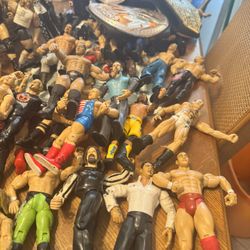 WWE Wrestlers, Belts & Mix