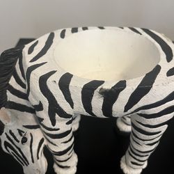 Zebra Planter