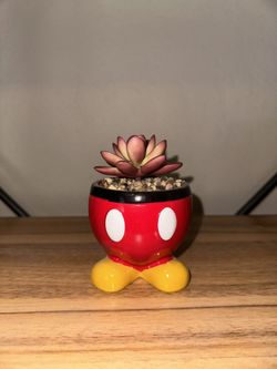 mickey mouse fake plant