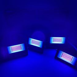 MELPO Black Light 30W LED Blacklight Flood Light Outdoor for Glow Party, Halloween Decoration, Body Paint, Fluorescent Poster, Neon Glow, IP66,US-Plug