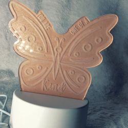 Butterfly Gift
