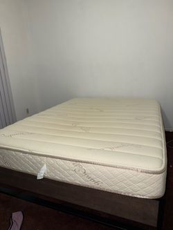 Sleep EZ Roma Bed&platform bed frame $350 obo