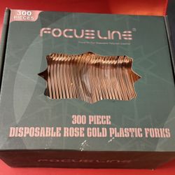 300 Pc Forks Box New