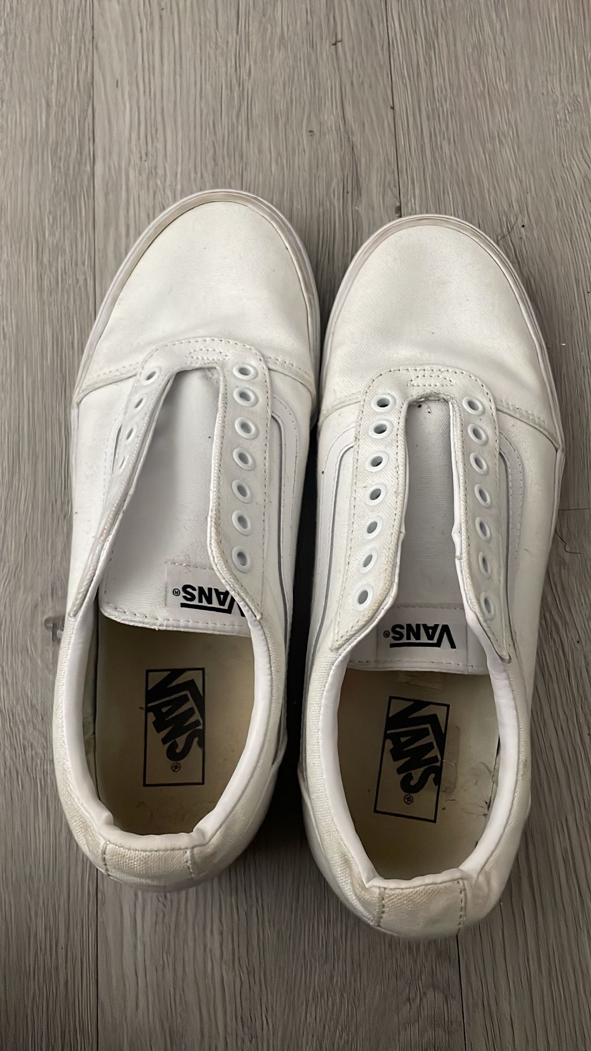 Old Skool Canvas Shoe Vans