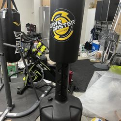  Punching/kicking Bag 