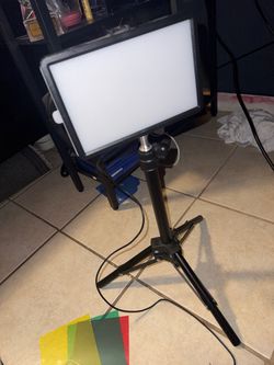 BEST OFFER need gone