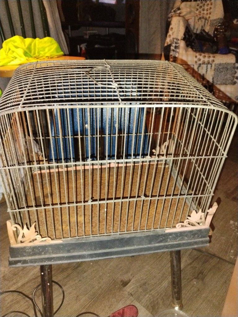 Antique Bird Cage
