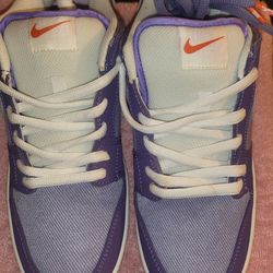Nike Dunk Sb Low Size 10 new