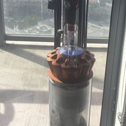 Dyson Animal 3 Extract 