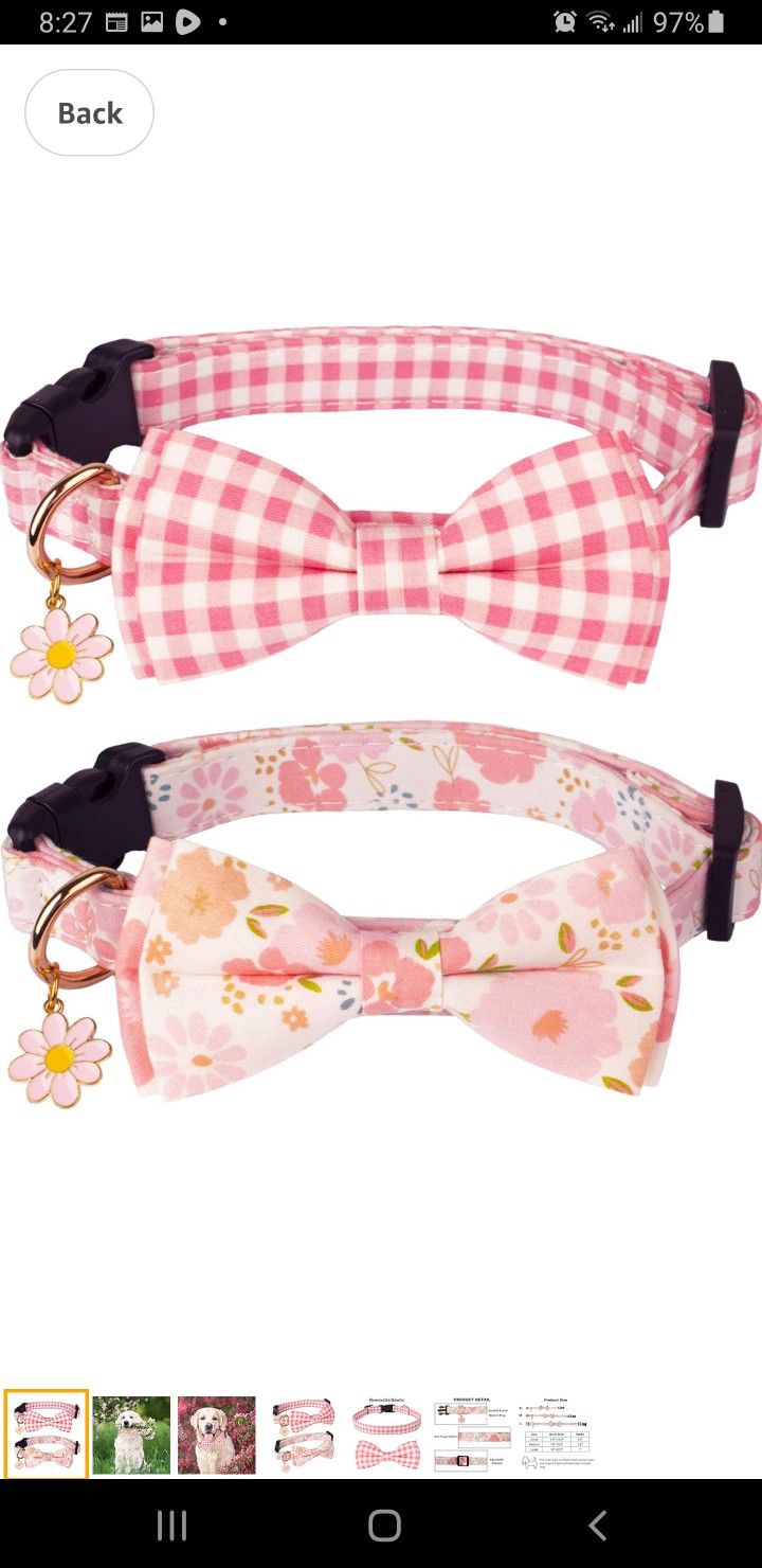 Dog Collar