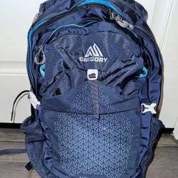 Gregory Nano 20 Backpack
