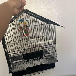 Bird Cage