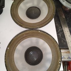 Pair Of 8" Brazilian Woofer Speakers Raw Drivers